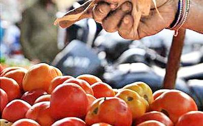 Retail prices of tomato skyrocket up to ₹77 per kg in metro cities, barring Delhi