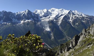 Global heating is turning white Alps green, study finds