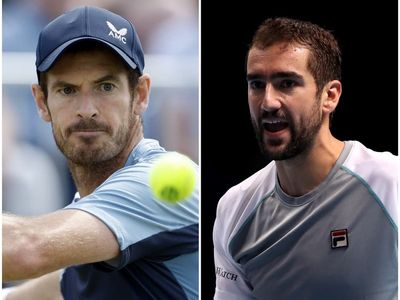 Andy Murray takes inspiration from Marin Cilic’s run to French Open semi-finals