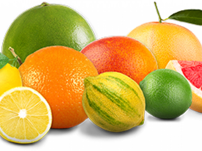 Limoneira Enters Fallowing Program At Associated Citrus Packers Ranch, Arizona