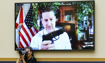 Republican brandishes private arsenal in House hearing on gun reform