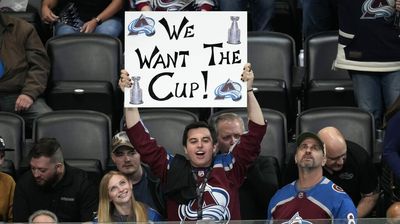 How Avalanche fans singing ‘All the Small Things’ in the third period came about