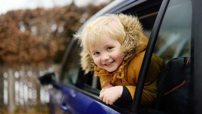 She Let the Kids, Ages 3 and 5, Wait Briefly in the Car. Now She Can't Be a Teacher.