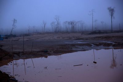 Immersed in crisis, Peru neglects Amazon's destruction