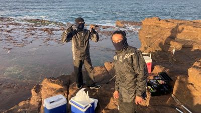 NSW rock fishers risk their lives at Honeycomb Rocks, one of Australia's deadliest angling spots
