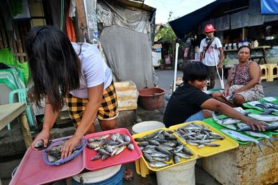 US backs Philippines in China fishing ban