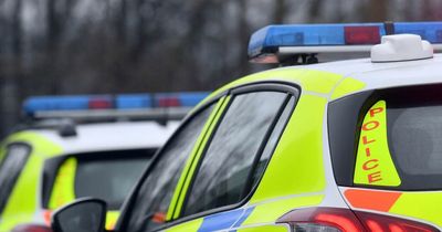 Man arrested after cyclist dies in collision with van on A40 near Raglan