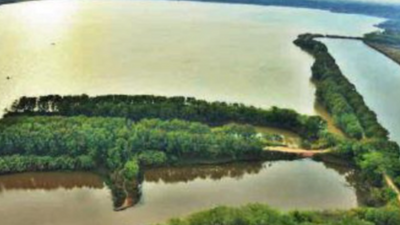 Stop untreated water from Kansal to UT forest, Punjab told