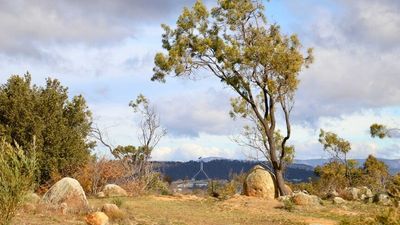 Ngunnawal traditional owners announce plans to lodge native title claim over ACT and surrounding NSW