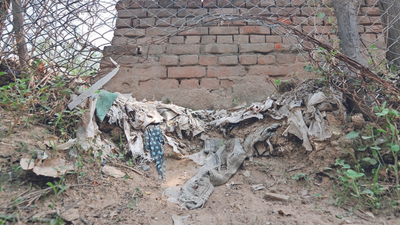 Part of Aravali park colonised by debris