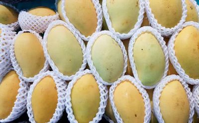 Lockdown-inspired WhatsApp groups thrive on mango sales