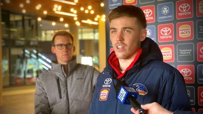 Adelaide AFL player Paul Seedsman accepts ongoing concussion symptoms could be career ending