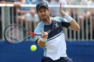Andy Murray looking to take inspiration from French Open veterans Rafa Nadal and Marin Cilic