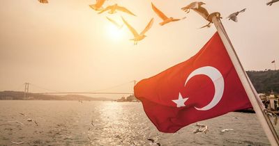 Turkey officially changes name and rebrands to move away from 'negative meaning'