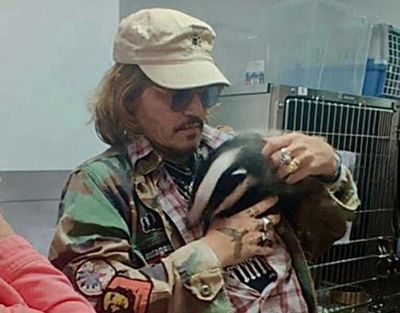 Johnny Depp spotted holding badger cub at Kent wildlife sanctuary