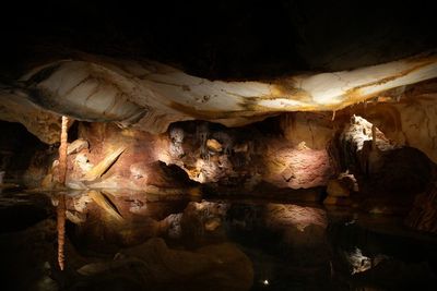 Exhibit of famed prehistoric cave to open in Marseille