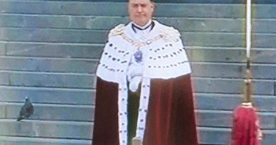 Brits 'howling' as random pigeon steals show at St Paul's Jubilee service for Queen