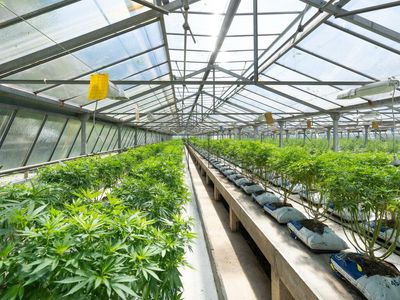 Aurora Cannabis Repurchases $20M Of Convertible Notes