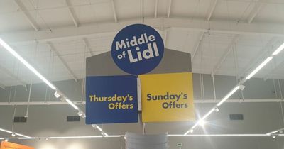 'I took a trip to the Middle of Lidl and found brilliant garden buys - my top five picks'