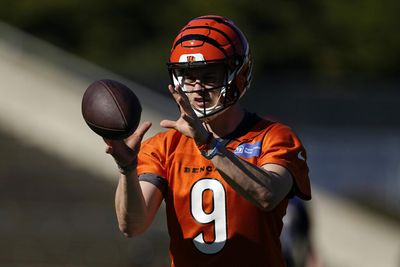 Bengals’ Joe Burrow named best NFL QB at two types of throws