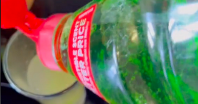 How to get rid of fruit flies in the house according to viral TikTok hack