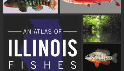 Book it: ‘An Atlas of Illinois Fishes: 150 Years of Change’ updates broad sweep of Illinois fishes