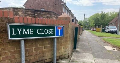 Four men involved in 'altercation' down alleyway as cars speed from scene