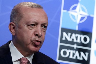 Erdogan tells Stoltenberg Turkey's security concerns are just