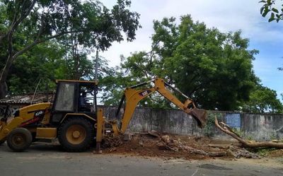 Felling of trees for drain works worries residents