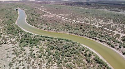 Iraq Reports Bird Flu Outbreak on Poultry Farm, OIE Says