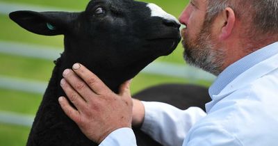 Delight as Northumberland County Show returns for first time since 2019