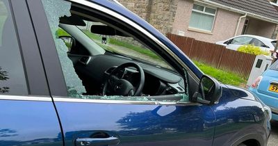 Edinburgh woman has blue badge stolen as thief smashes car window during the night