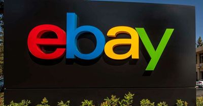 Irish jobs: Ebay hiring for work from home roles with good pay, civil service jobs and Lidl positions