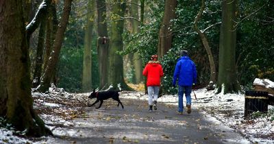Walking more slowly can signify dementia in older people, warns new study