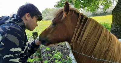Beloved pony found dead in bush with broken neck as heartbroken family blame local dog