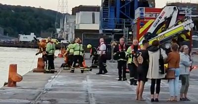 Two kids escape from car that entered river on Cork city quay as search continues