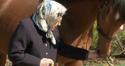 Queen feeds adorable foal a carrot in unseen video showing lifelong love of horses