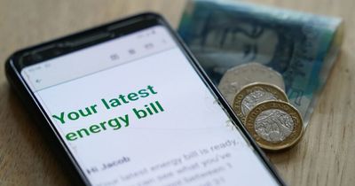 Not everyone will get the £400 energy bill discount – including tenants