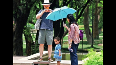 Delhi air more toxic this summer than last year