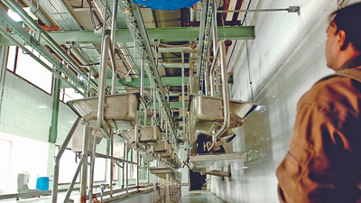 HC denies relief to MCD on closure of Delhi’s sole abattoir at Ghazipur