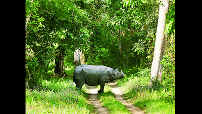 Supreme Court orders 1km eco-sensitive zone for protected forests