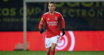 Newcastle United transfer rumours as Alex Grimaldo made available by Benfica