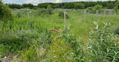 Hundreds of homes planned for 'up and coming' Nottinghamshire town