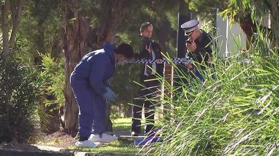 Western Sydney teenager fatally stabbed by partygoer 'defending' girlfriend