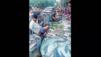 West Bengal: Fish, fruit prices burn a hole in pocket ahead of Jamai Shasthi