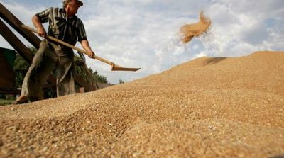 Kyiv Envoy Says Russia Sent 'Stolen' Grain abroad Including to Turkey