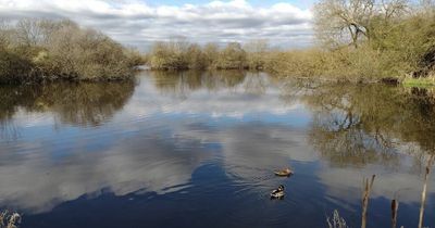 Attenborough Nature Reserve will no longer permit fishing, wildlife trust says