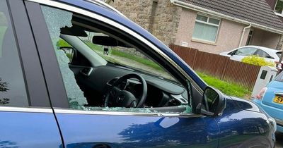 Callous thieves steal Scots woman's blue badge after smashing car window