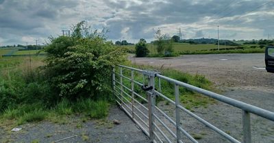 Hunt for woman spotted dumping pet cat in remote car park and driving off in Newton Means