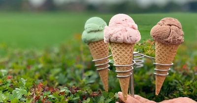 Ice cream farms and shops worth a drive out around Manchester and Cheshire